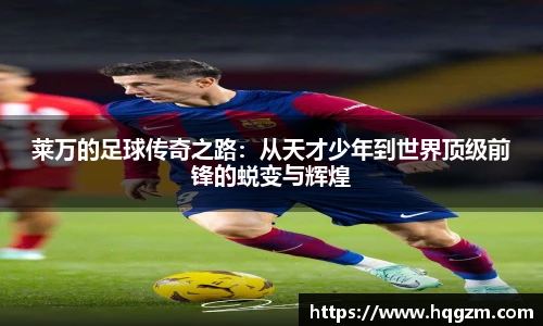 完美体育官网